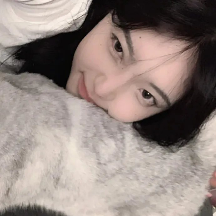 舞法天女之绚彩归来海报